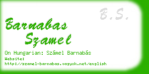 barnabas szamel business card