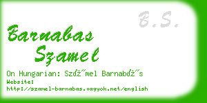 barnabas szamel business card